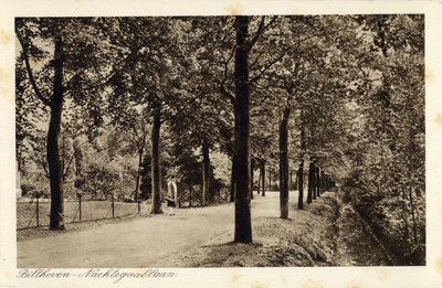 8386 Gezicht in de Nachtegaallaan te Bilthoven uit het westen.